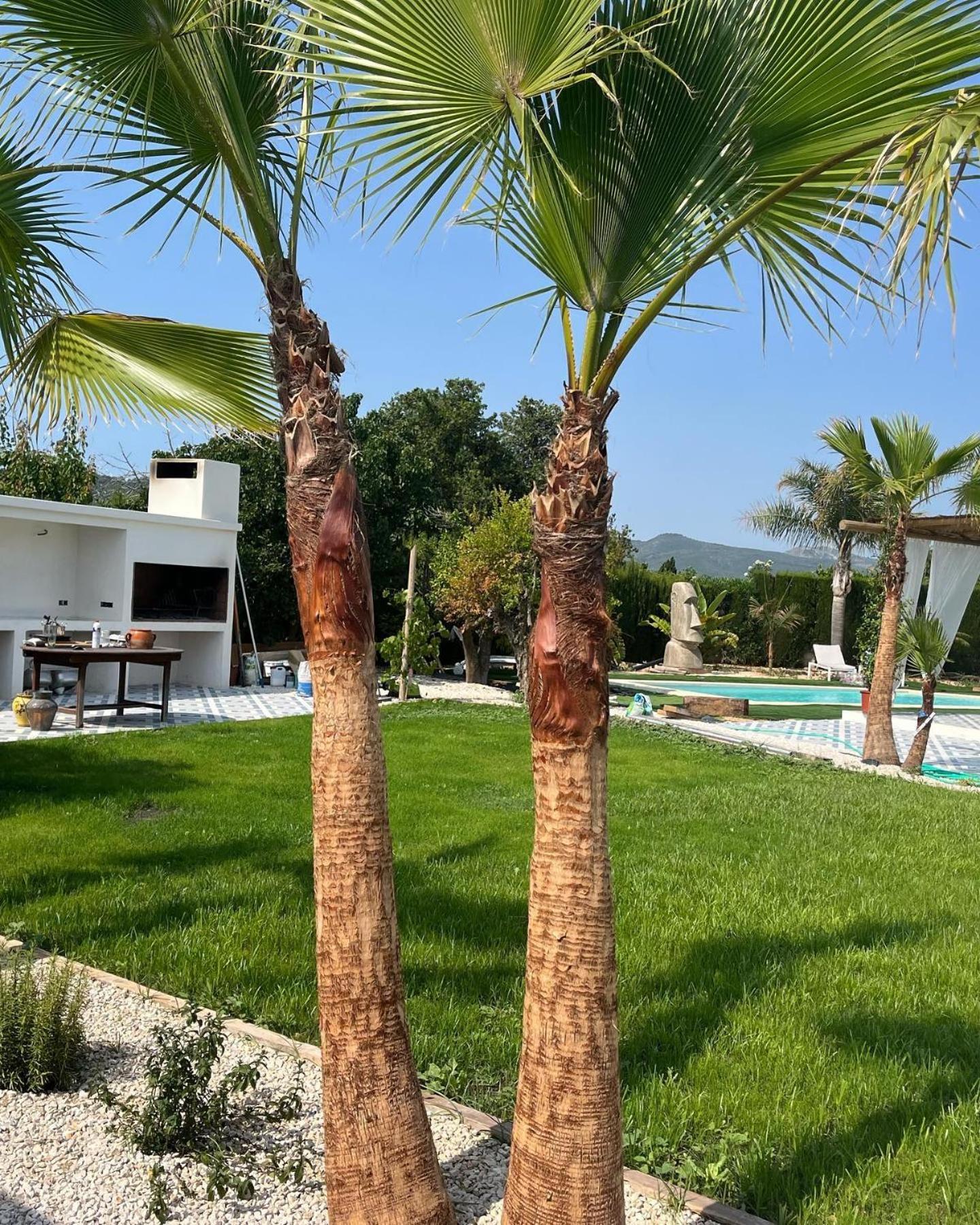 Casanoa Luxury Villa Bed And Breakfast Jávea Extérieur photo